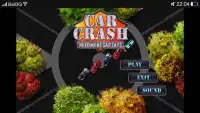 Car Crash Screen Shot 0