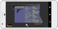 Pistol Shoot Range - Gun Simulator FREE Screen Shot 1