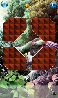 Hidden Pieces: Aviary Screen Shot 2