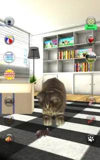 Konuşan Kedi Komik Screen Shot 0