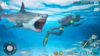 Angry Shark Attack Game Screen Shot 3