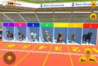 Dog Race Game: Dog Racing 3D Screen Shot 0