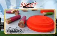 Skeet Shoot Master Screen Shot 1