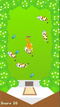 Angry Cats Screen Shot 2