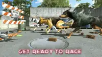 Dog Racing : Dog Games Screen Shot 0