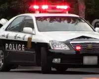 سيارة الشرطة بانوراما الألغاز Screen Shot 4