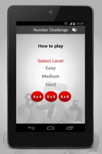 Number Challenge Screen Shot 9