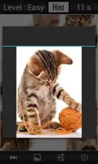 Nerd Cat Puzzle Screen Shot 1