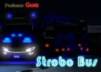 Strobo Bus 2019 Screen Shot 4