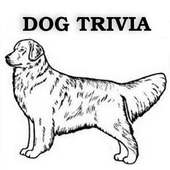 Dog Trivia