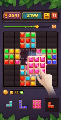 Block Puzzle Game Screen Shot 8