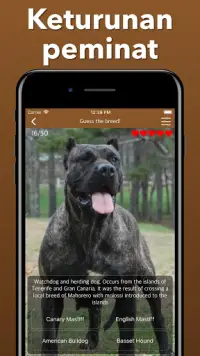 Anjing anjing Meneka Kuis Anjing - Quiz Screen Shot 4