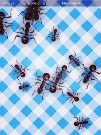 No più formiche (gratuito) - squash Screen Shot 3