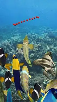 Happy Fish 3D Screen Shot 2