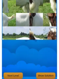 Animal Puzzle Screen Shot 9