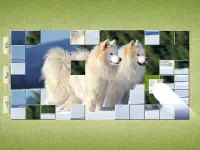 犬のパズル Screen Shot 12