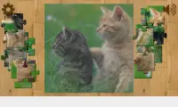 Mèo và Kittens Puzzles Screen Shot 5