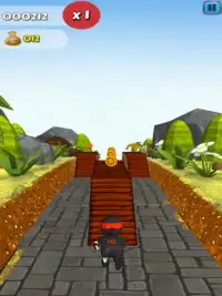 Ninja Run 3D Screen Shot 1