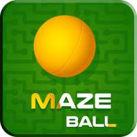 Maze Roll Ball 360