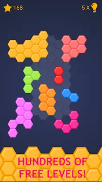 Hexa Block Puzzle Screen Shot 1