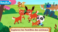 Bébé Panda : Famille d'animaux Screen Shot 0
