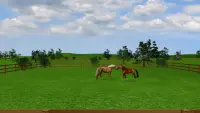 Jumpy Horse Breeding Screen Shot 4