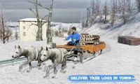 Śnieg Pies Sanki Transportować Gry Zima Sport Screen Shot 3