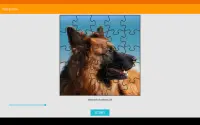 Dog Jigsaw Puzzle Screen Shot 5