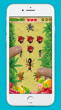 Ant Insect Smasher Screen Shot 0