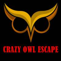 Crazy Owl Escape