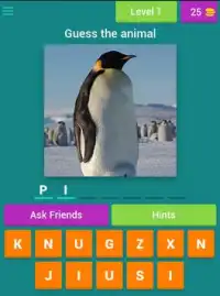 animal quiz game for kids Screen Shot 7