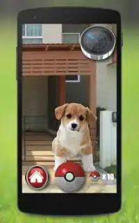 Pocket Puppy Dogs GO Screen Shot 0