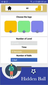 Hidden Ball Screen Shot 5