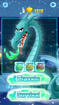 Ice Block Puzzle Dragon Screen Shot 1