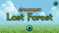 Dragonsgard: Lost Forest Screen Shot 0