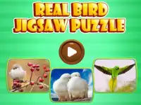 Love Birds Jigsaw puzzle :  Paradise for toddler Screen Shot 0