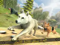 الذئب عشيرة - حيوان بري محاكاة Screen Shot 3