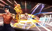 Super Kung Fu Star VS Campione di boxe Screen Shot 3