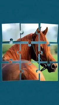 Kuda Permainan Puzzle Screen Shot 1