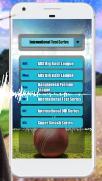 Snickometer : Cricket Prediction Tool Screen Shot 1