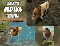 Angry Lion Jungle Survival 3D Screen Shot 4