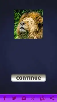 Jungle Animaux Puzzles Screen Shot 2