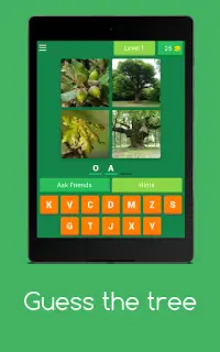 Guess the tree - Tree species identification quiz Screen Shot 6