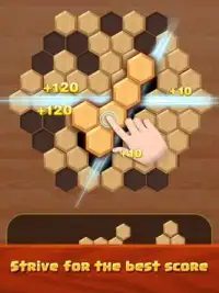 Woody block puzzle Screen Shot 5