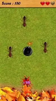 النمل سحق لعبة مجانية Screen Shot 2