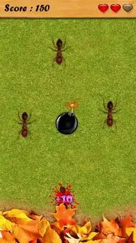 Ant Smash Jogo Grátis Screen Shot 2