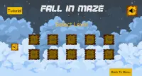 Fall In Maze Screen Shot 1