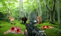 Animal Safari  Shooter Screen Shot 1