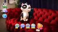 Catapolis: Cat Simulator Games Screen Shot 7