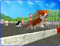 Cute Puppy Dog Racing Sim 2017 Screen Shot 11